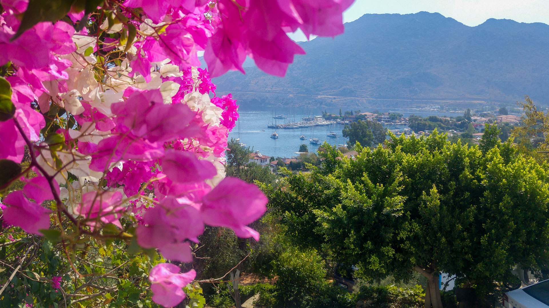 Flora Saadet Apart Balkon Manzarası Selimiye Marmaris