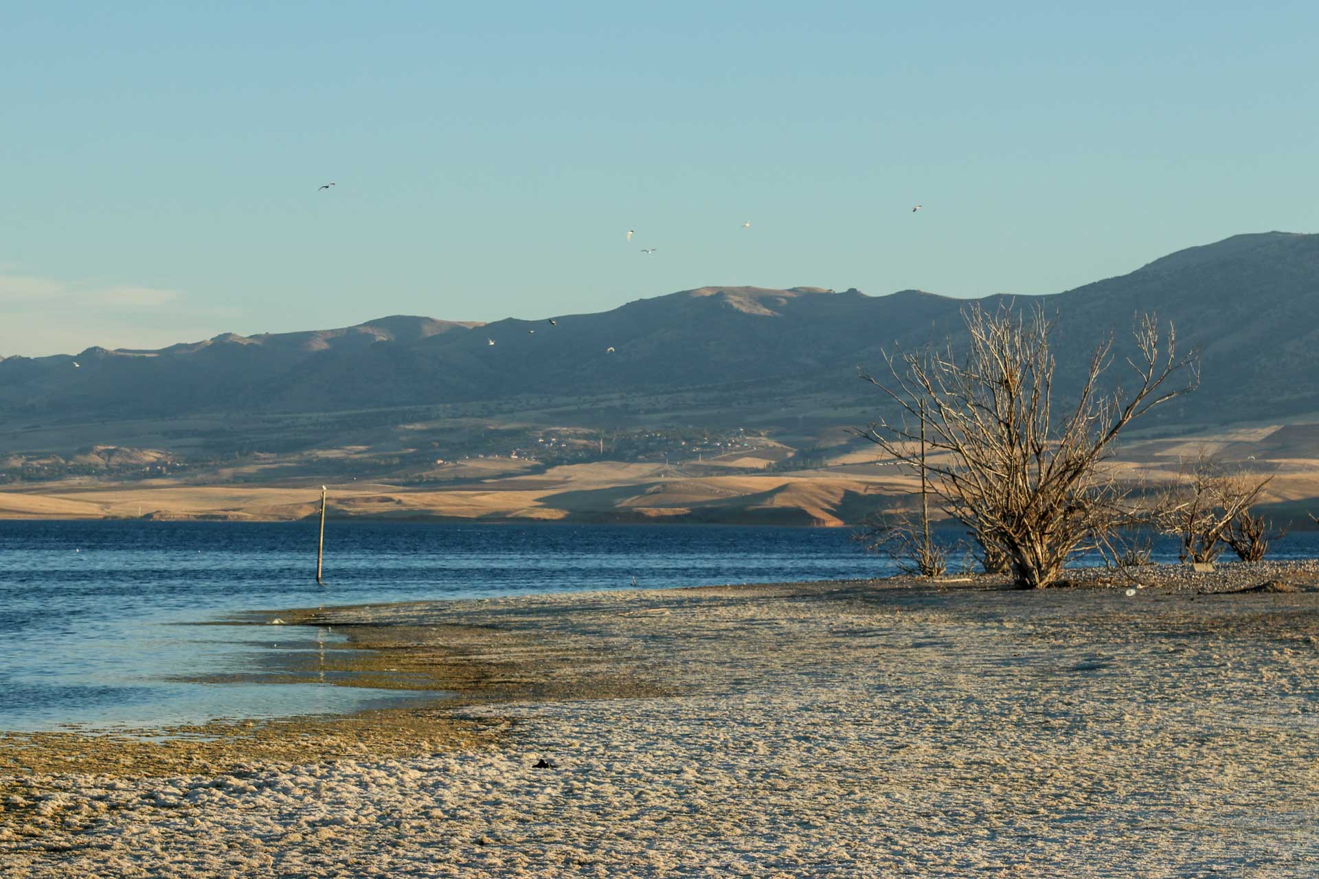 Kırşehir Kaman Fotoğrafları Savcılı Plajı Çekergezer Hakan Aydın Fotoğrafları Gezgin Fotoğrafçı www.cekergezer.com