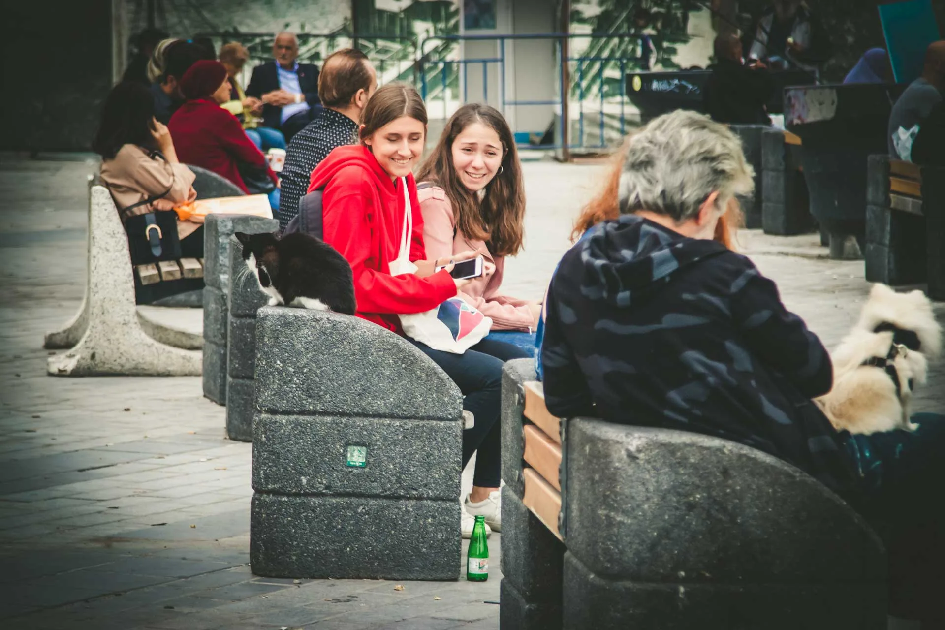 Karaköy insanlar ve kedi