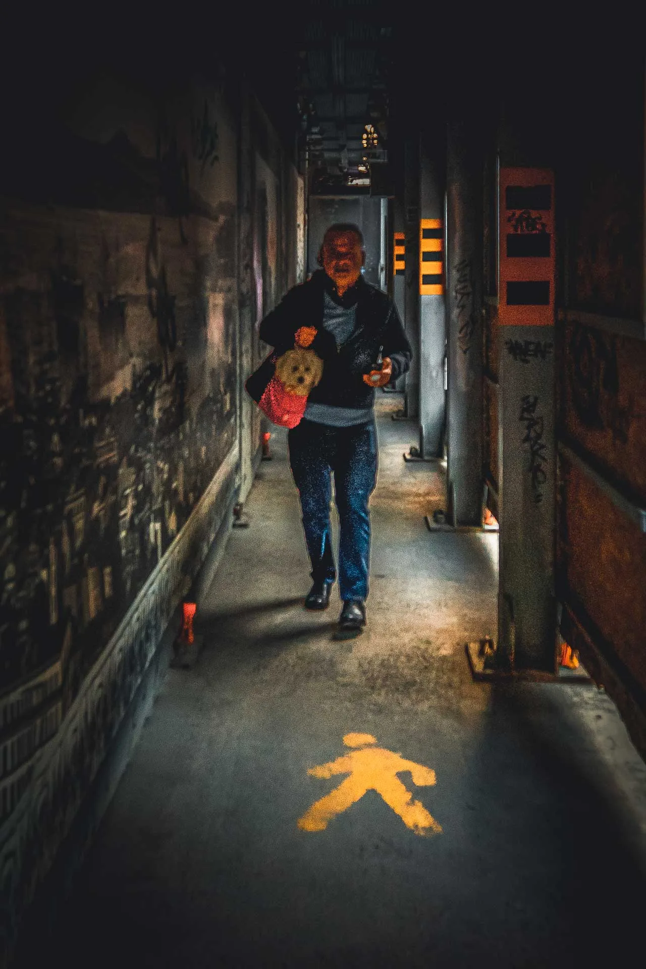 İstanbul Fotoğrafları