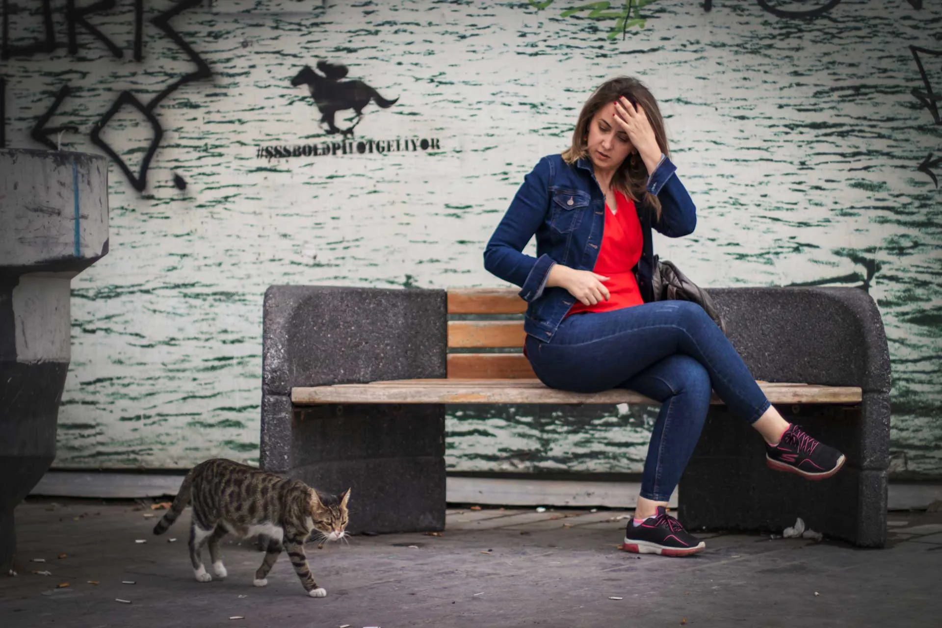 Karaköy insanlar ve kedi