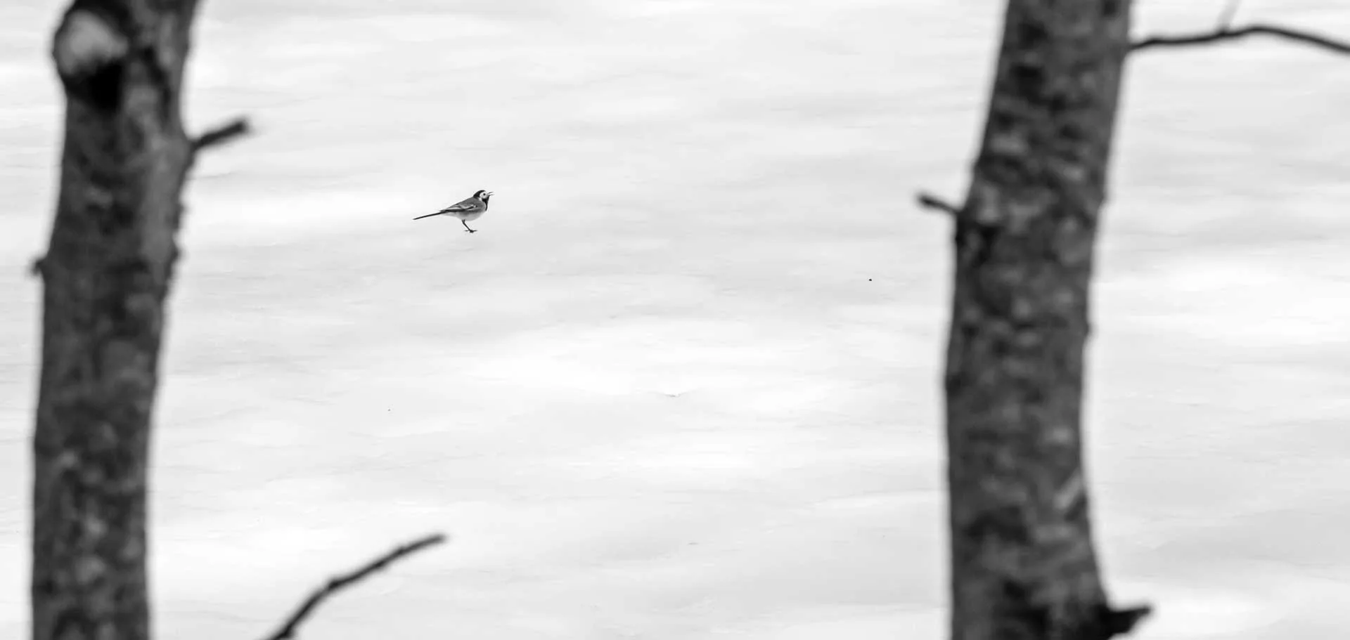 Sen ne güzelsin öyle Karagöl Çubuk Ankara Çekergezer Hakan Aydın Fotoğrafları