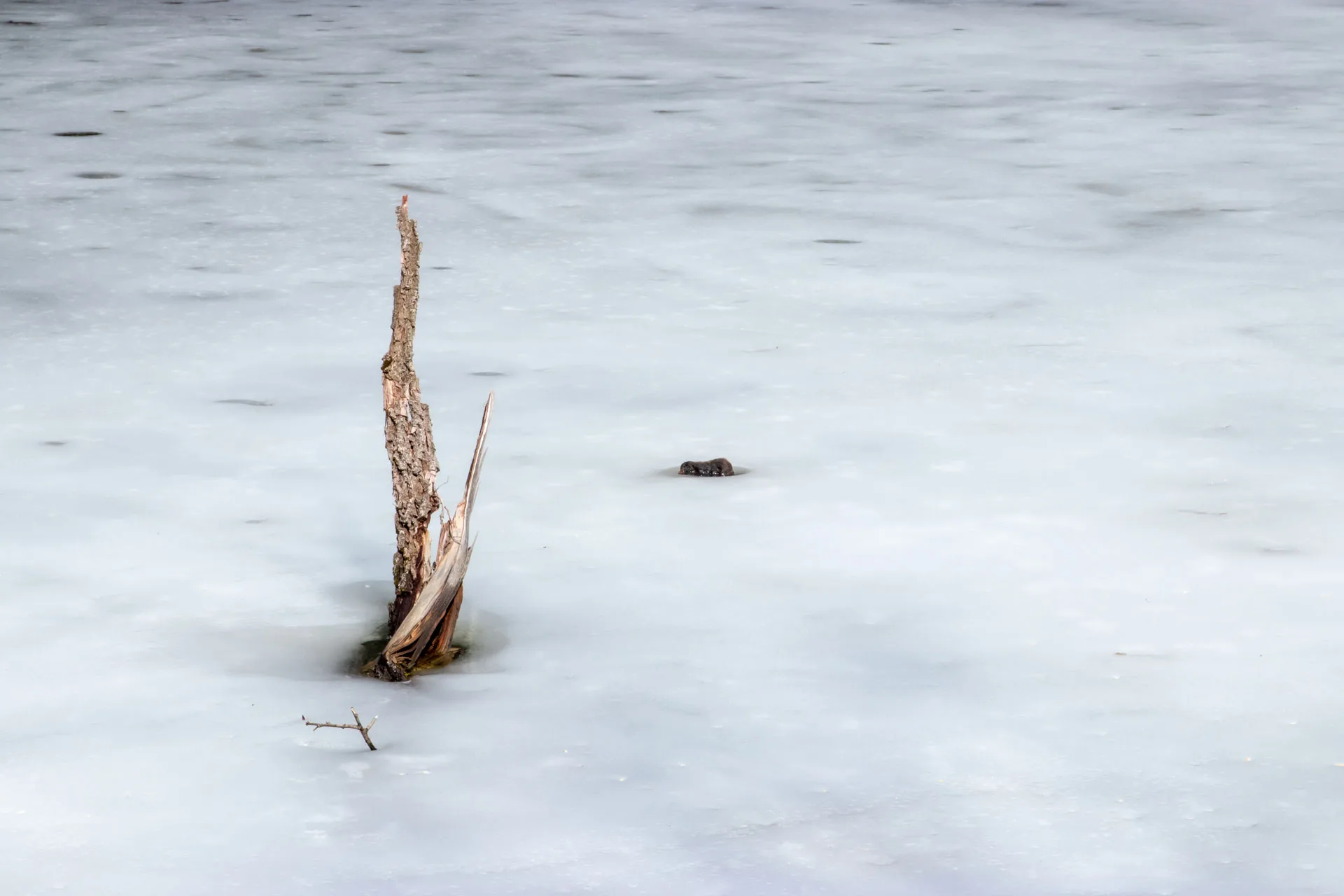 Sen nesin arkadaşım