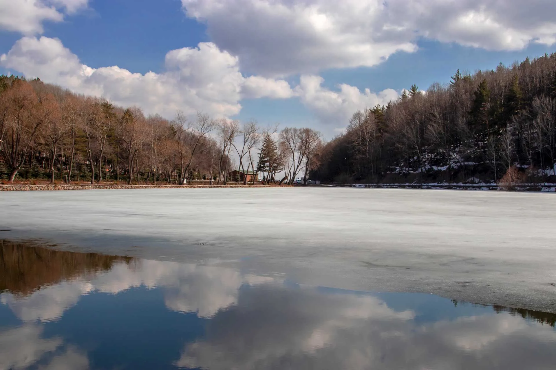 Şuraya da mutlu ağaç çizelim Karagöl Çubuk Ankara Çekergezer Hakan Aydın Fotoğrafları