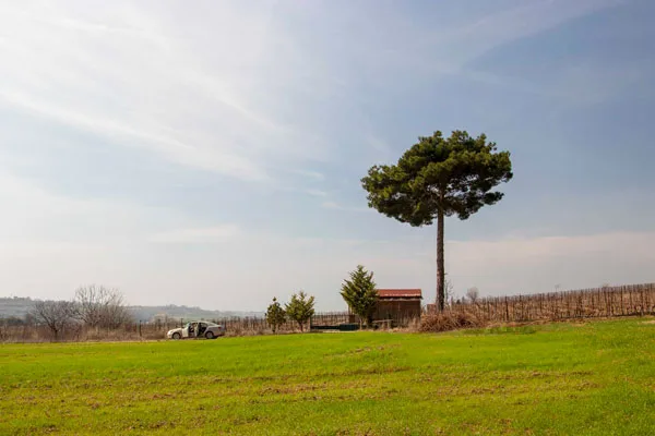 Gezgin Fotoğrafı