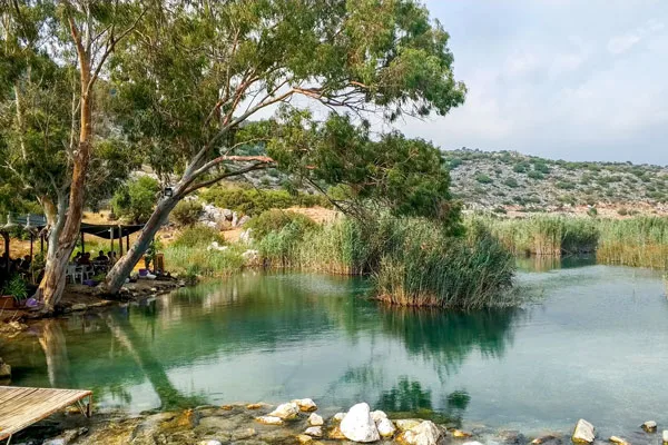 Gezgin Fotoğrafı