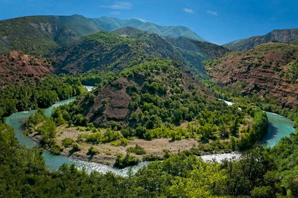 Gezgin Fotoğrafı
