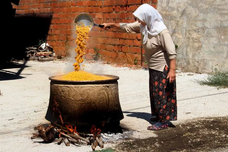 Gezgin Fotoğrafı