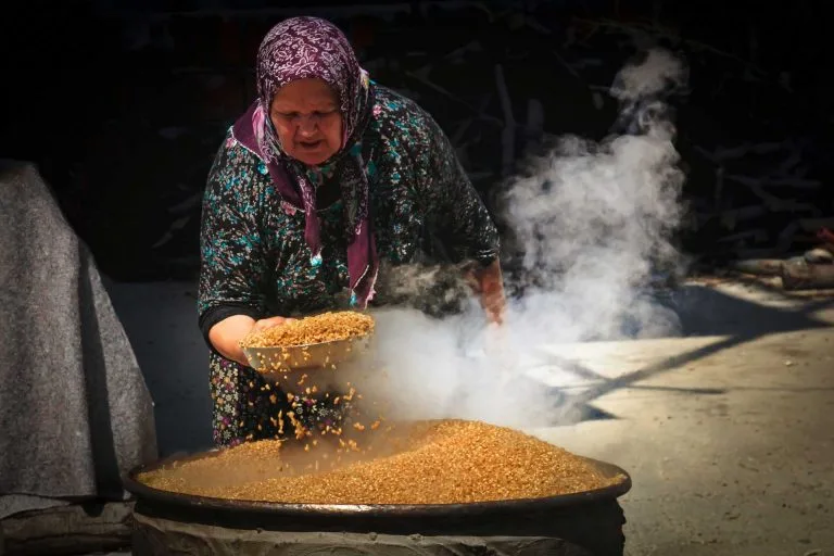 Gezgin Fotoğrafı