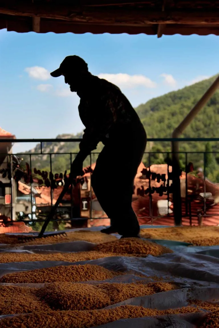 Gezgin Fotoğrafı