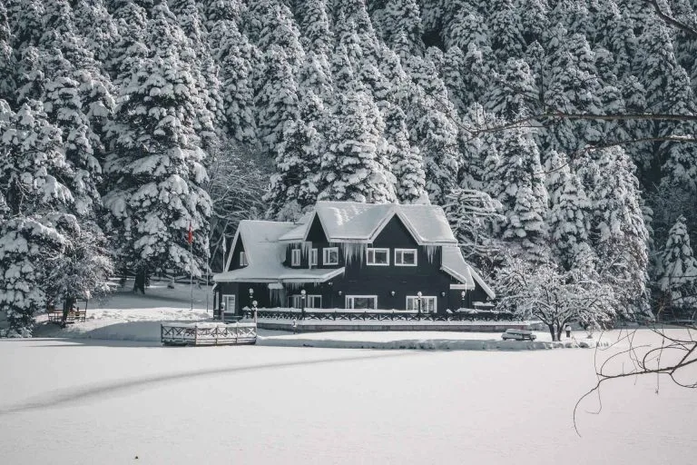 Gezgin Fotoğrafı