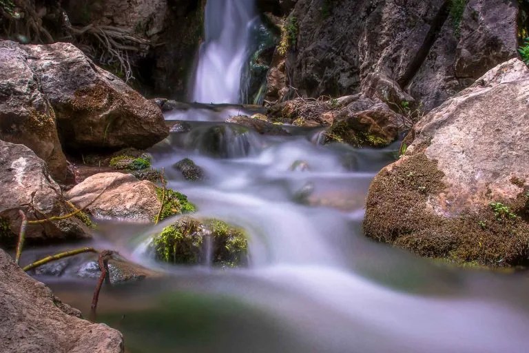 Gezgin Fotoğrafı