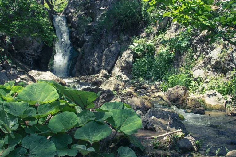 Gezgin Fotoğrafı