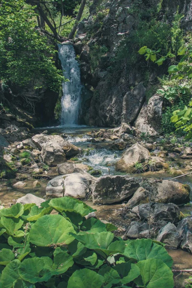 Gezgin Fotoğrafı