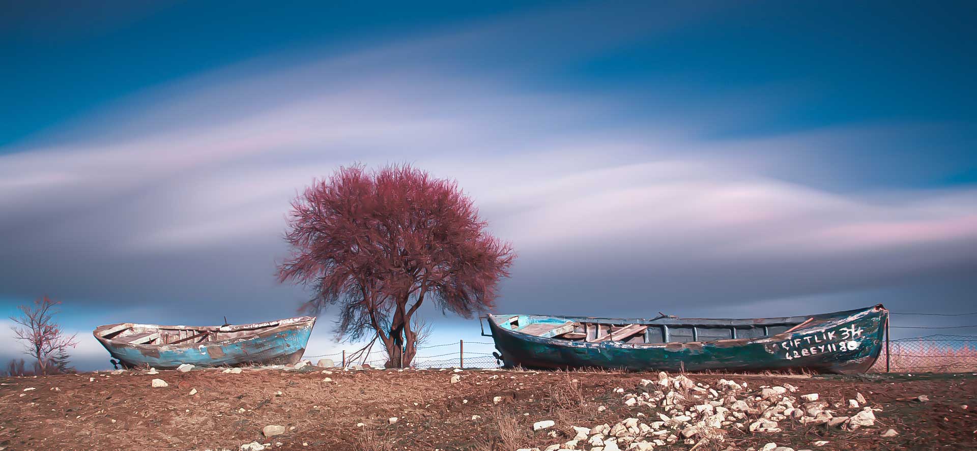 beysehir-fotograflari-yalniz-agac-tekneler-cekergezer-hakan-aydin-fotograflari Beyşehir Fotoğrafları Tekne ve Ağaç Çekergezer Hakan Aydın Fotoğrafları