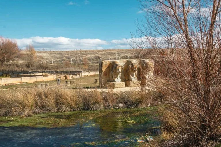 Gezgin Fotoğrafı