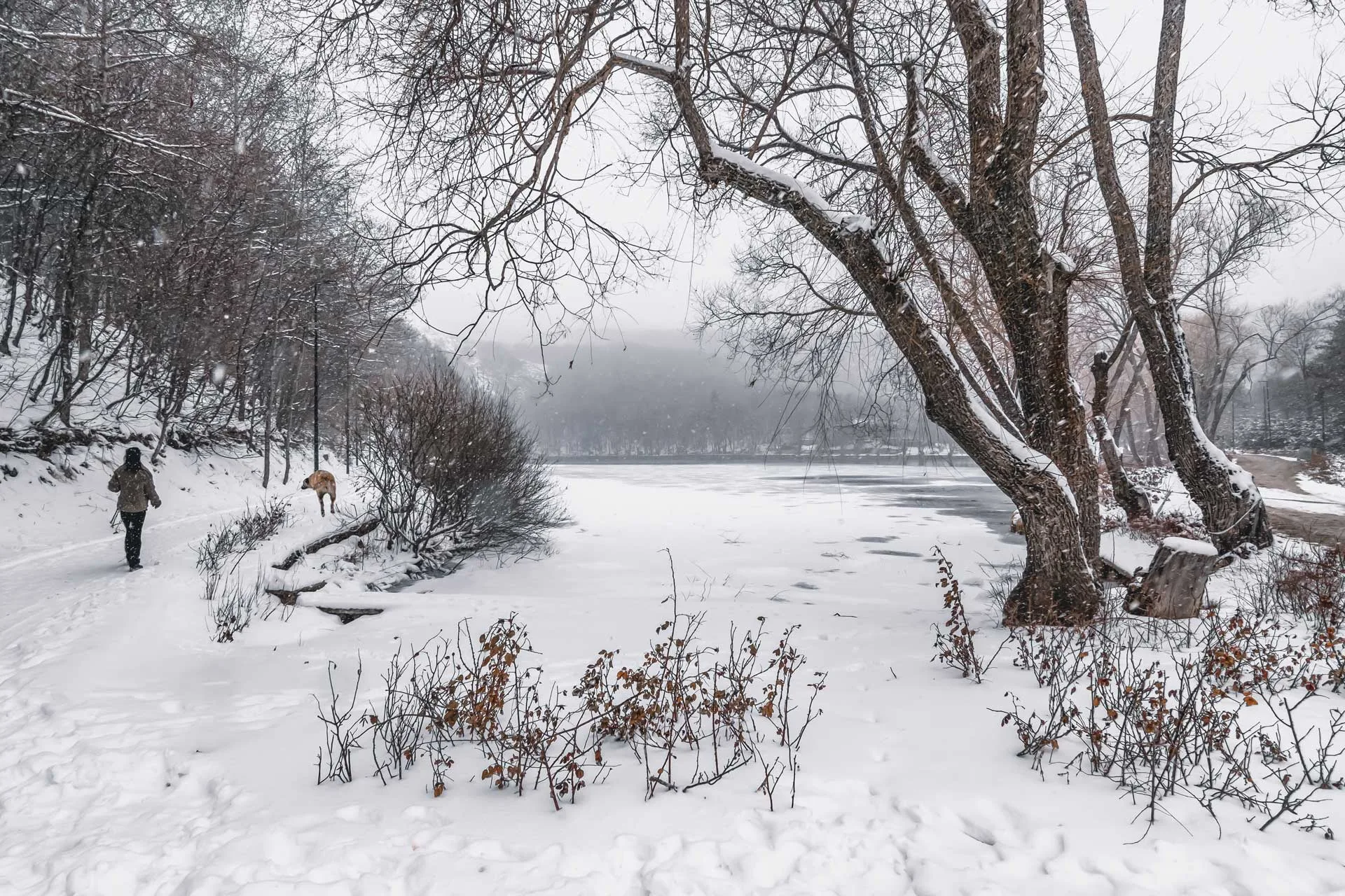 ankara-fotograflari-karagol-milli-parki-cekergezer-hakan-aydin-fotograflari Ankara Fotoğrafları Karagöl Milli Parkı
