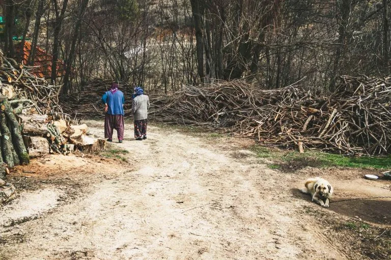 Gezgin Fotoğrafı