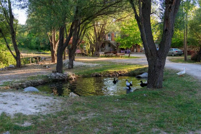 Gezgin Fotoğrafı