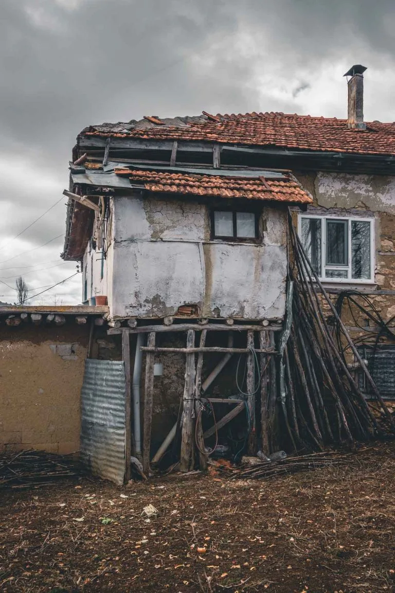 Gezgin Fotoğrafı