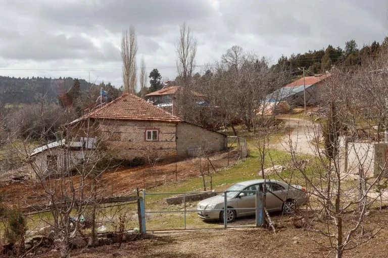 Gezgin Fotoğrafı