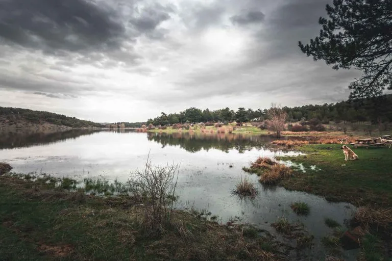 Gezgin Fotoğrafı