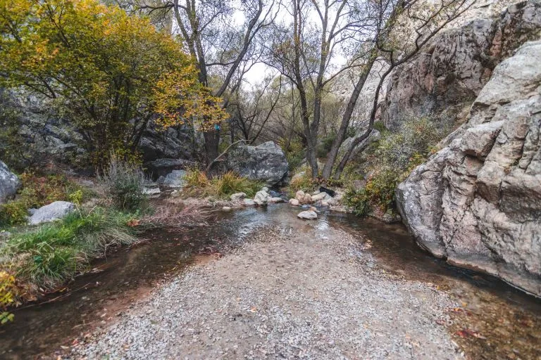 Gezgin Fotoğrafı
