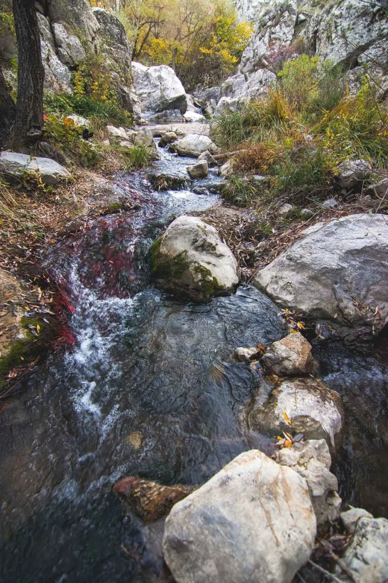 Gezgin Fotoğrafı