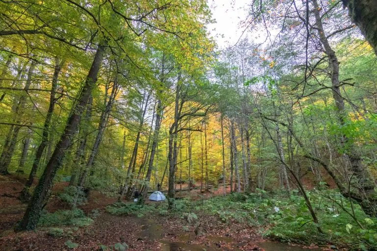 Gezgin Fotoğrafı