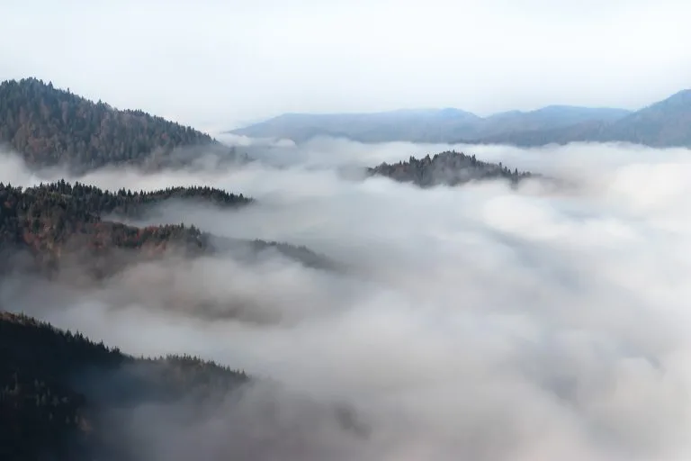 Gezgin Fotoğrafı