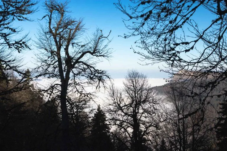 Gezgin Fotoğrafı