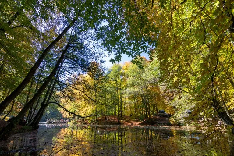 Gezgin Fotoğrafı