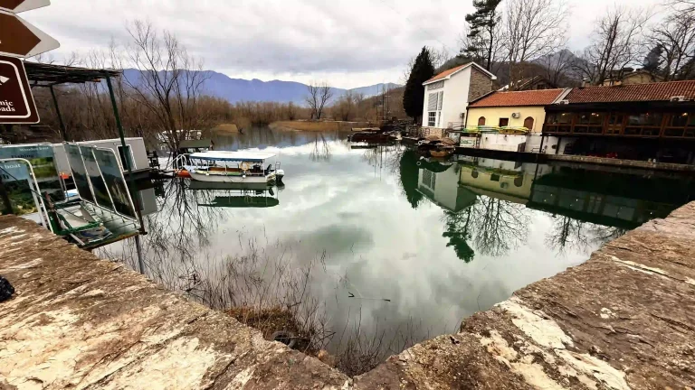 Gezgin Fotoğrafı