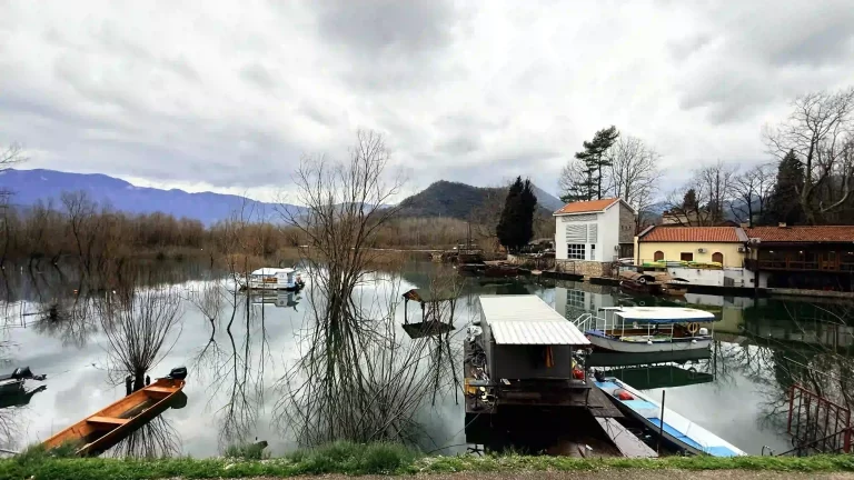 Gezgin Fotoğrafı