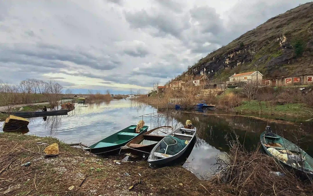 Vranjina İşkodra Kölü