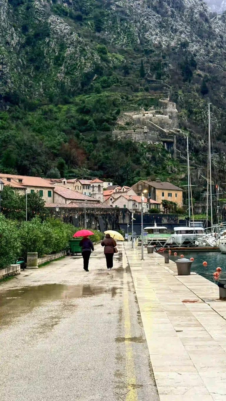 Gezgin Fotoğrafı