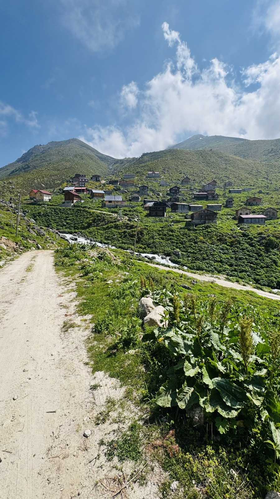 Toprak patika, yayla köyüne doğru
