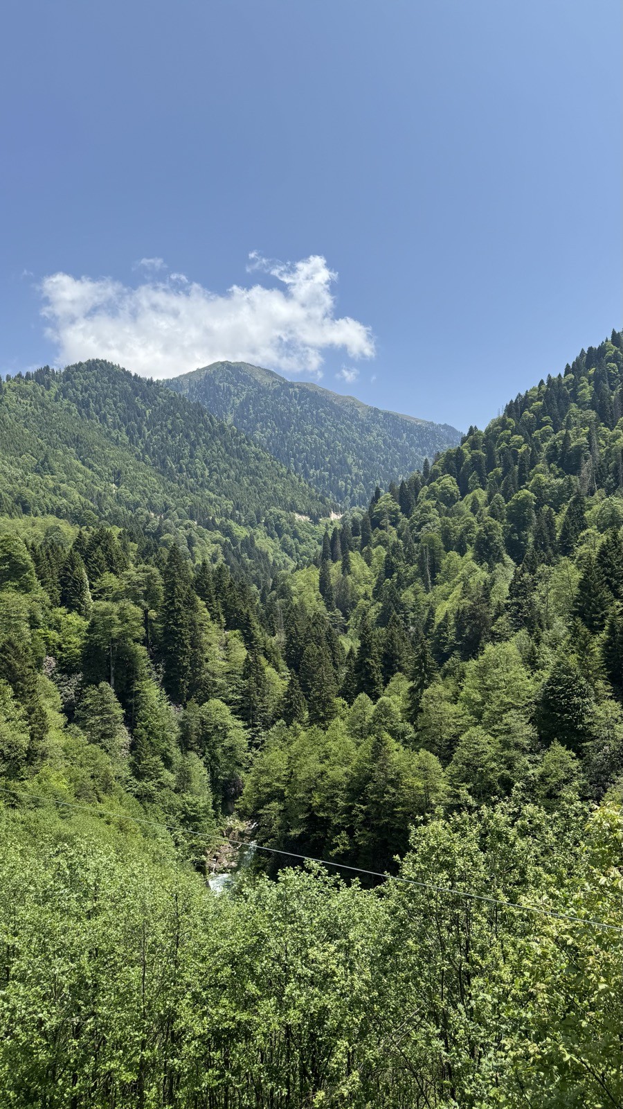 Orman/dağ manzarası, kişisiz