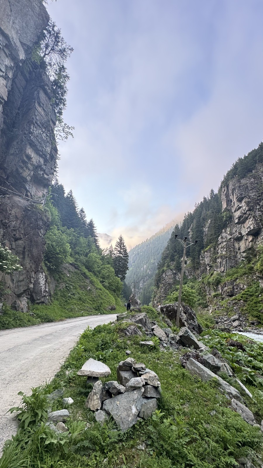 Kayalıklar arasından geçen dağ yolu ve orman