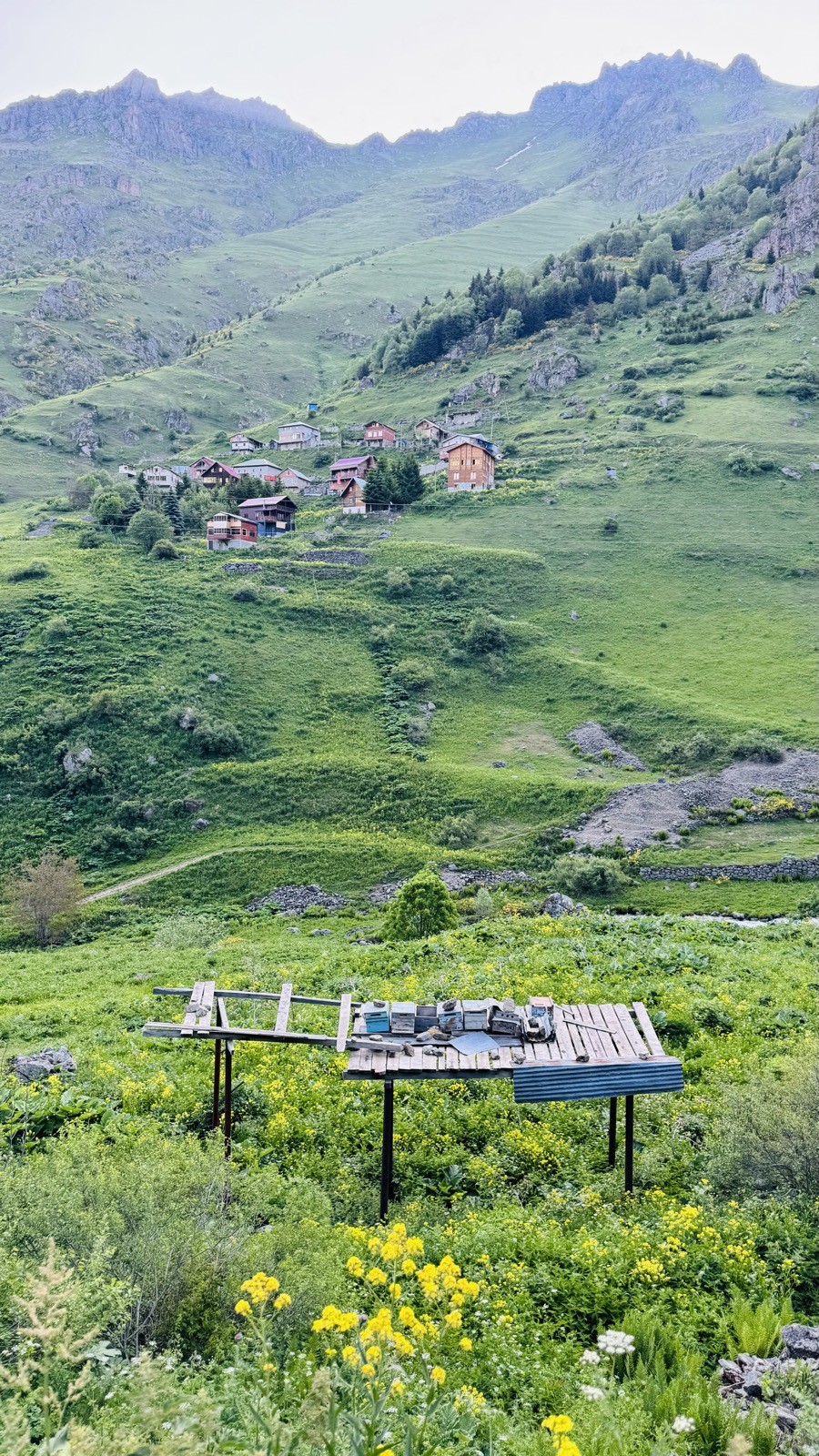 Yayla evleri, yeşil vadi