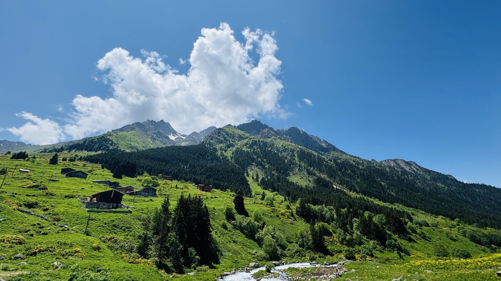 Çayır, yayla evleri, bulutlu dağ