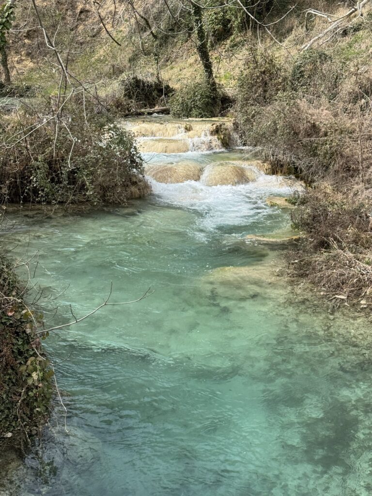 Gezgin Fotoğrafı