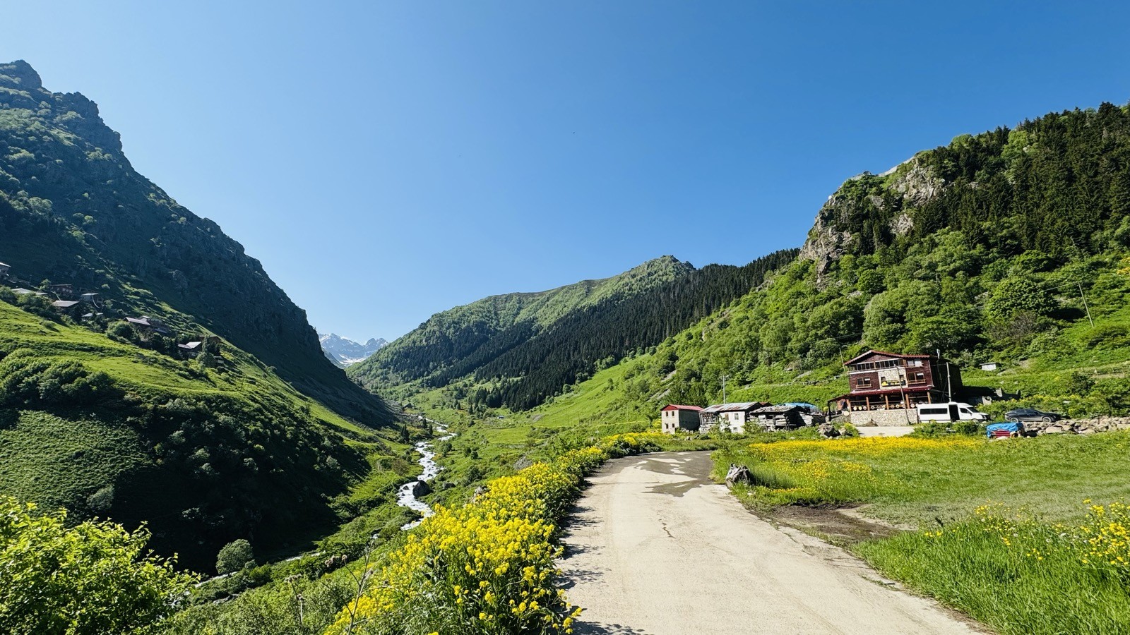 Toprak yol, sarı çiçekler, vadi