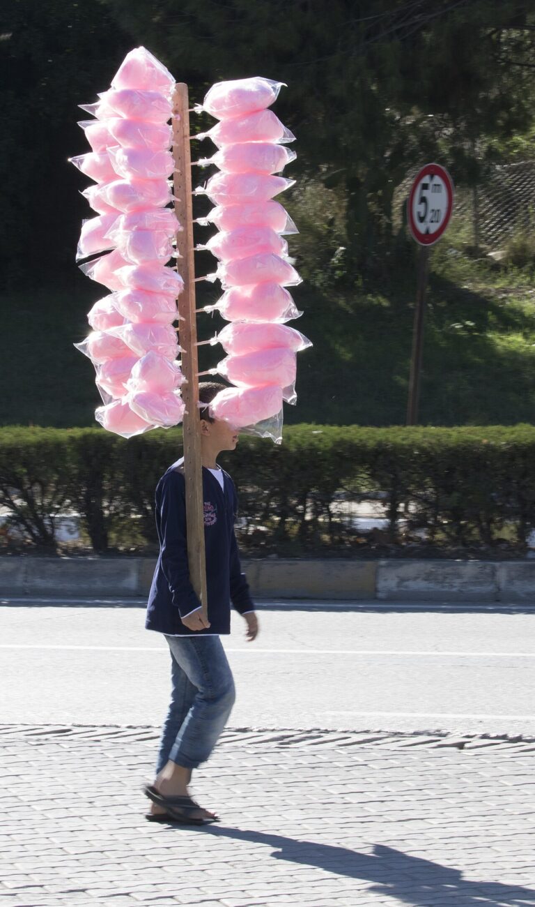 Gezgin Fotoğrafı