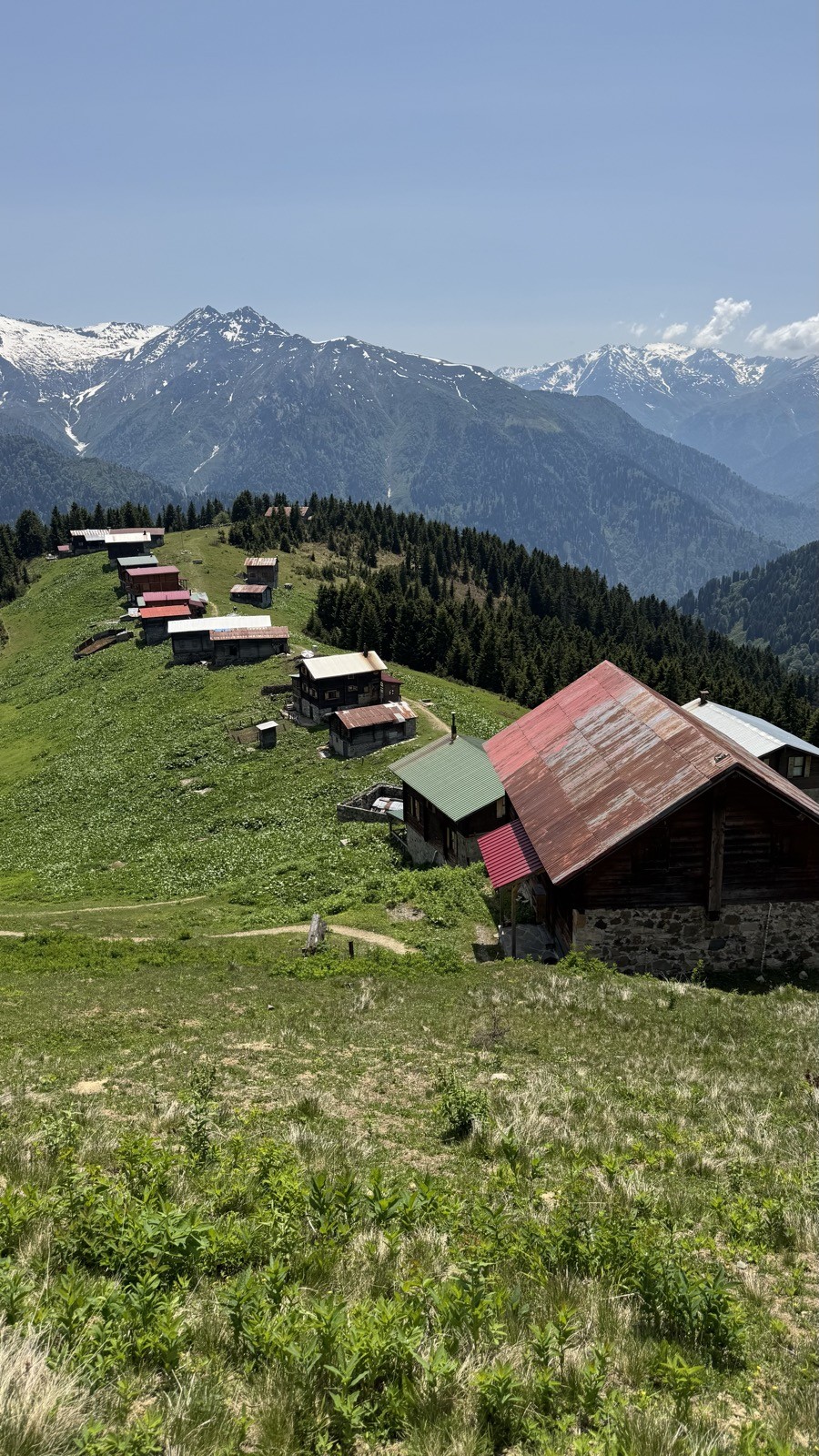 Yayla evleri, yeşil dağ yamacı