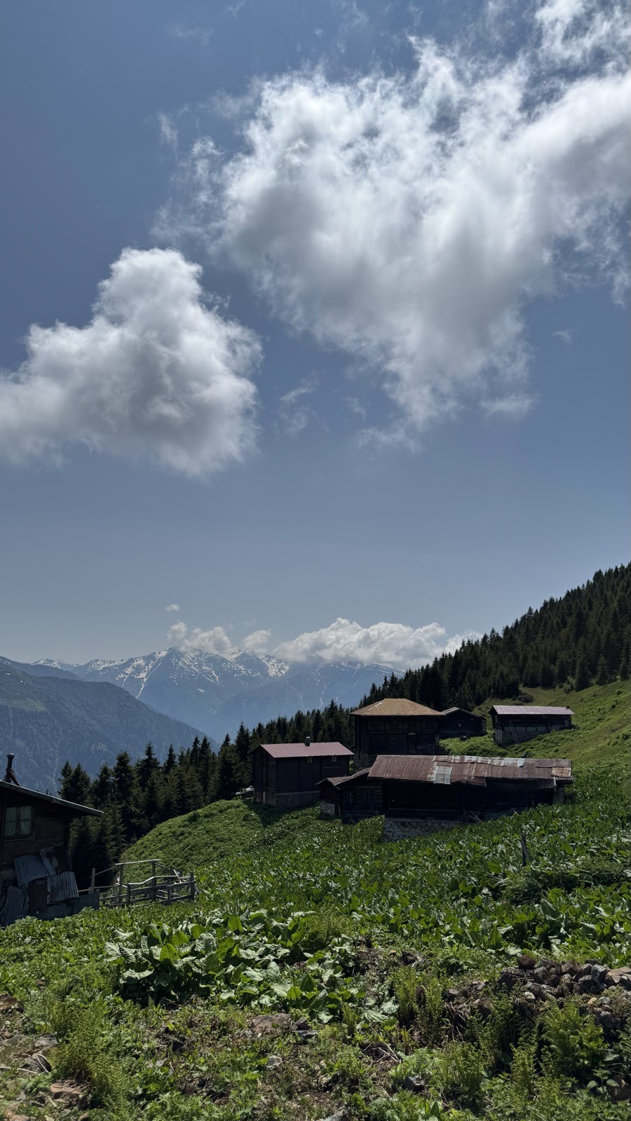 Yayla evleri, kar dağlar, dikey