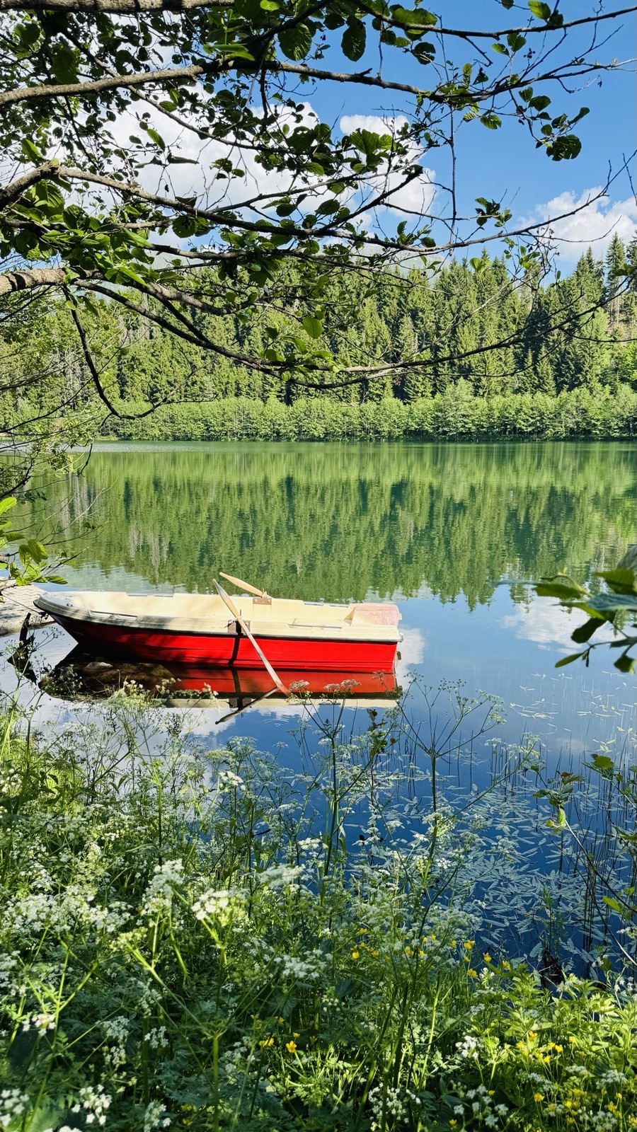 Gölde kırmızı kayık, orman yansıması